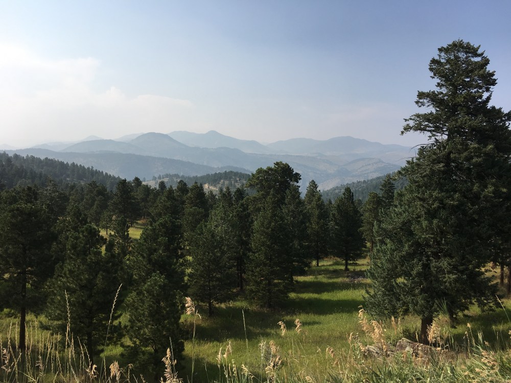 IMG_6125